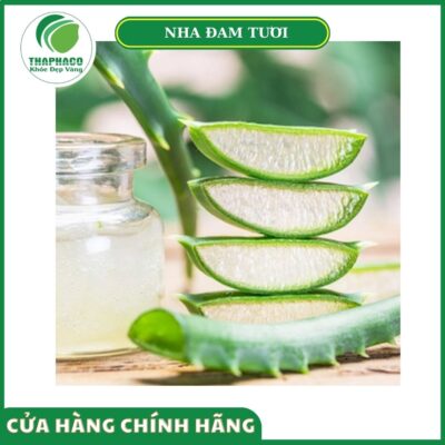 Giá bán nha đam tươi cao cấp