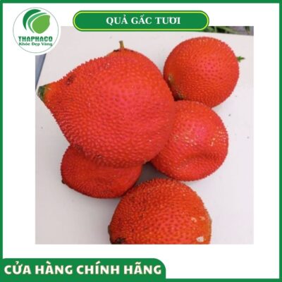 Giá bán quả gấc tươi cao cấp tại Thaphaco