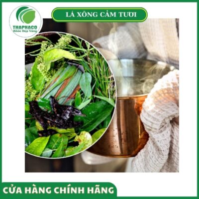 Cam kết và lợi ích mua hàng tại Thaphaco