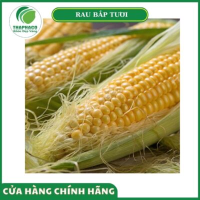 Vùng trồng rau bắp tươi cao cấp của Thaphaco