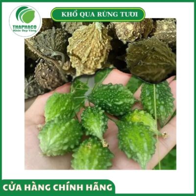 Lợi ích thực tế khi mua sản phẩm tại Thaphaco