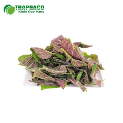 Nguồn gốc và quy trình sản xuất khép kín lá mơ tươi của Thaphaco