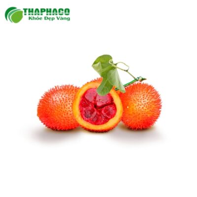 Quy trình sản xuất quả gấc già tươi Thaphaco