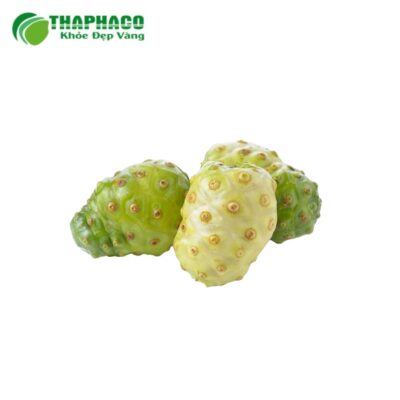 Vùng trồng và quy trình sản xuất trái nhàu tươi cao cấp