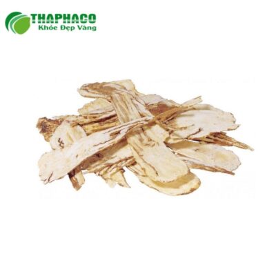 Giá bán đương quy tươi Thaphaco