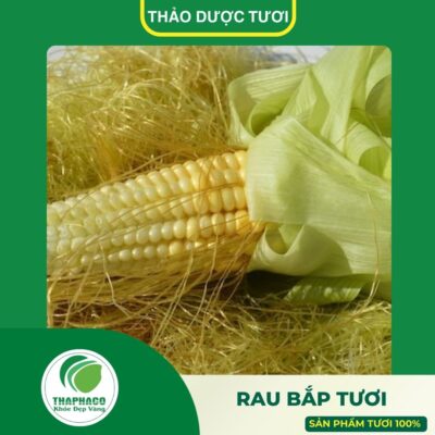 Giới thiệu sản phẩm râu bắp tươi cao cấp Thaphaco