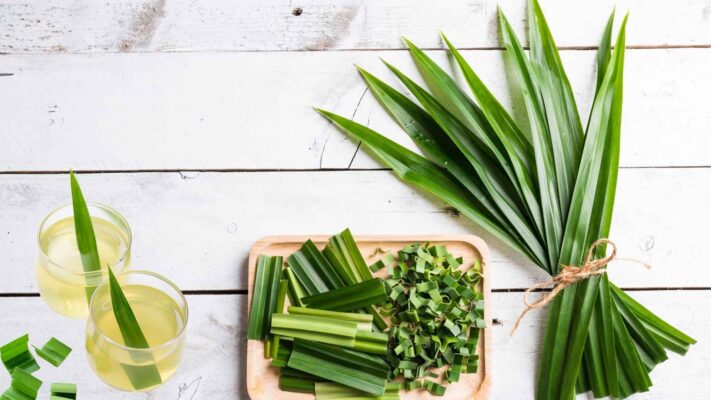 Giới thiệu chung về lá dứa