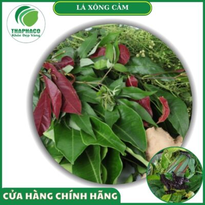 Sản phẩm lá xông cảm của Thaphaco