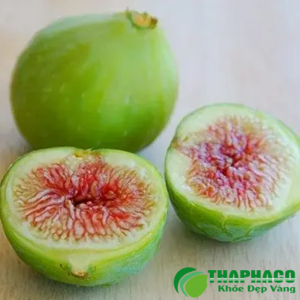 Đặc điểm tự nhiên của quả sung tươi