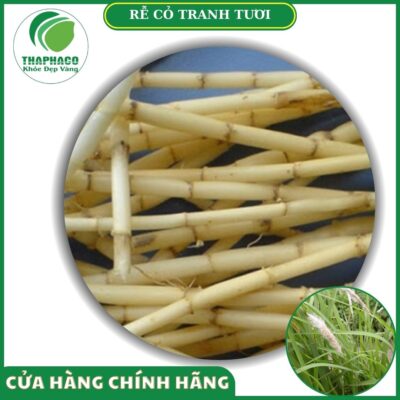 Sản phẩm rễ cỏ tranh tươi của Thaphaco