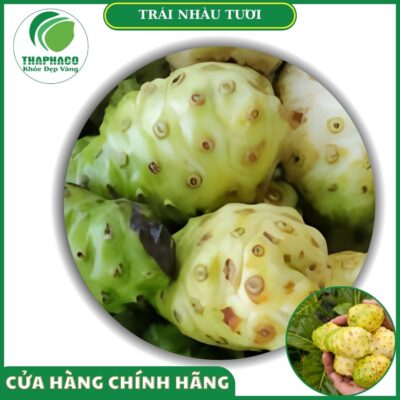 Sản phẩm trái nhàu tươi Thaphaco