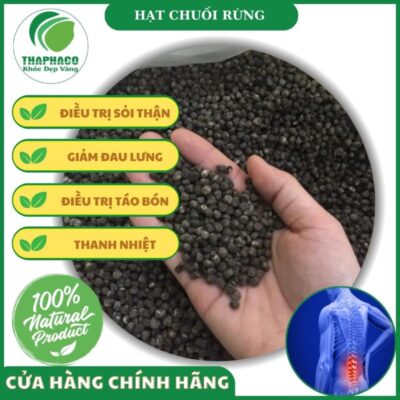 Công dụng của hạt chuối rừng