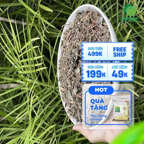 Hình ảnh chè dây khô của Thảo Dược Tươi THAPHACO sau khi được thu hoạch và phơi khô tự nhiên, đảm bảo sạch và xanh.