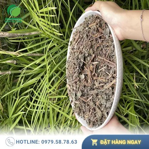 Chè dây Thảo Dược Tươi THAPHACO phơi khô tự nhiên giữ nguyên dược tính