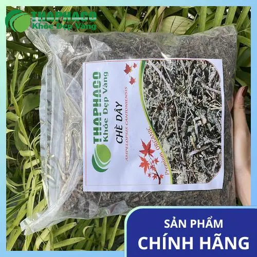 Hình ảnh hướng dẫn cách bảo quản chè dây THAPHACO để giữ nguyên dược tính và độ tươi mới.