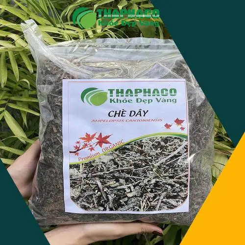 Bao bì sản phẩm chè dây Thảo Dược Tươi THAPHACO, chất lượng và đẹp mắt