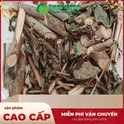 Cây an xoa tươi được thu hoạch và chọn lọc kỹ lưỡng tại THAPHACO