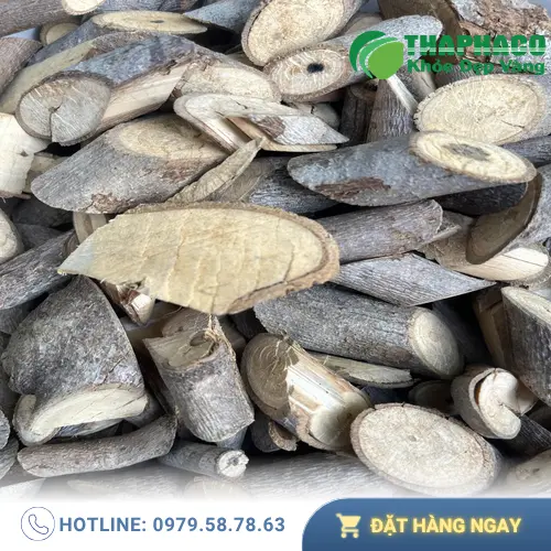 Quy trình sơ chế an xoa tại Thảo Dược Tươi THAPHACO