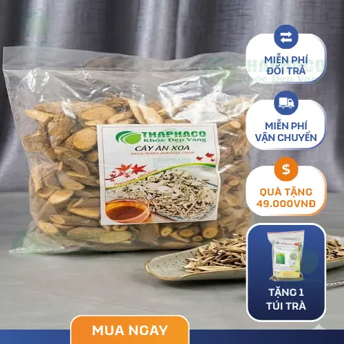 Công dụng của cây an xoa đối với sức khỏe
