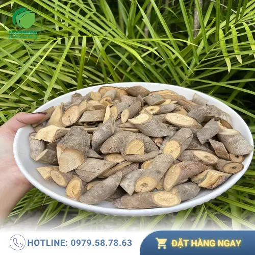 Bảo quản An Xoa đúng cách giữ trọn dược tính quý giá