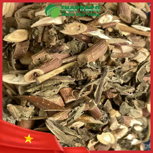 Bạch Đồng Nữ tươi chất lượng cao tại THAPHACO