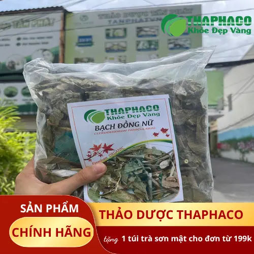 Bạch Đồng Nữ khô chất lượng cao từ Thảo Dược Tươi