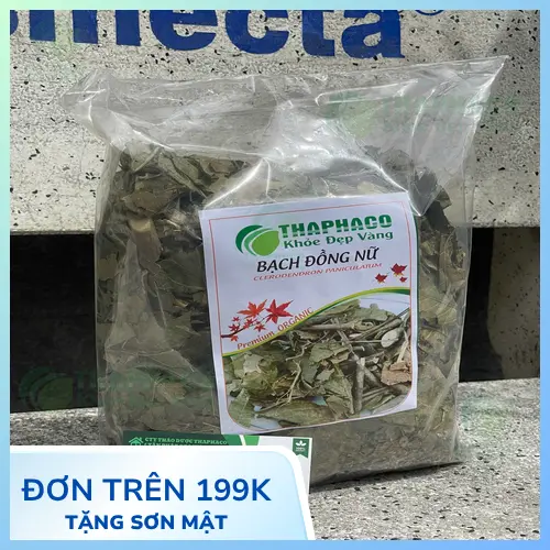 Hình ảnh bạch đồng nữ tươi của Thảo Dược Tươi THAPHACO