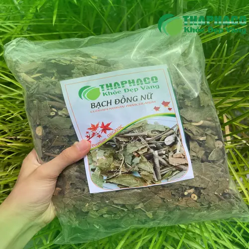 Cây Bạch Đồng Nữ tươi Thảo Dược Tươi THAPHACO