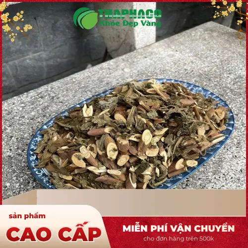 Hướng dẫn cách sử dụng bạch đồng nữ tươi hiệu quả