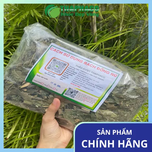 Cách pha trà Bạch Đồng Nữ đúng cách giữ dược tính