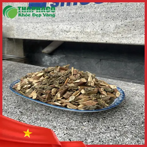 Cách bảo quản bạch đồng nữ tươi và khô đúng chuẩn