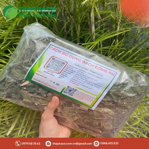 Bạch Đồng Nữ được sử dụng trong các bài thuốc dân gian
