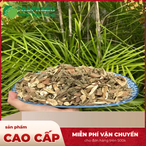 Hướng dẫn sử dụng và liều lượng Bạch Đồng Nữ hiệu quả
