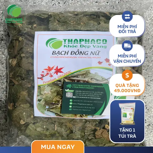 Sự thay đổi tích cực sau khi sử dụng bạch đồng nữ