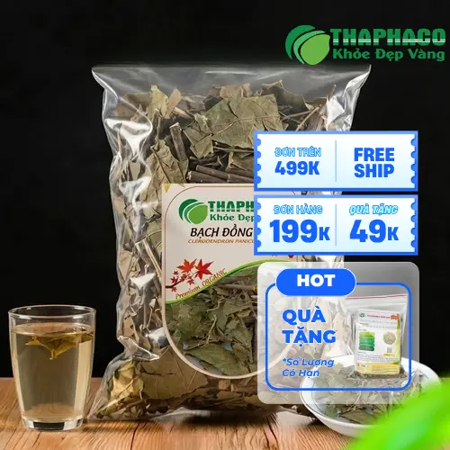 Địa chỉ mua bạch đồng nữ khô sỉ lẻ uy tín THAPHACO