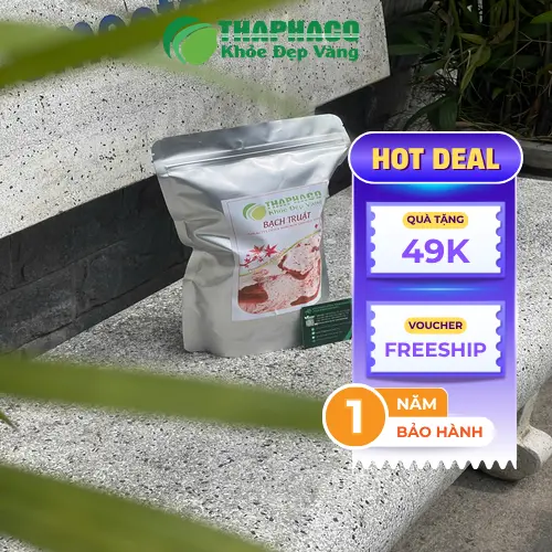 Bạch truật sấy khô được dùng để sắc nước uống