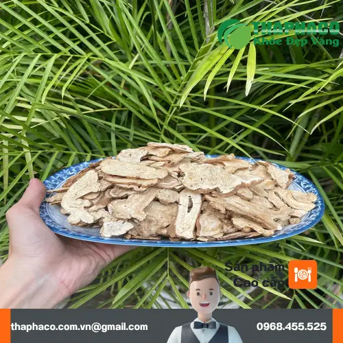 Bạch truật đã qua sơ chế và làm sạch