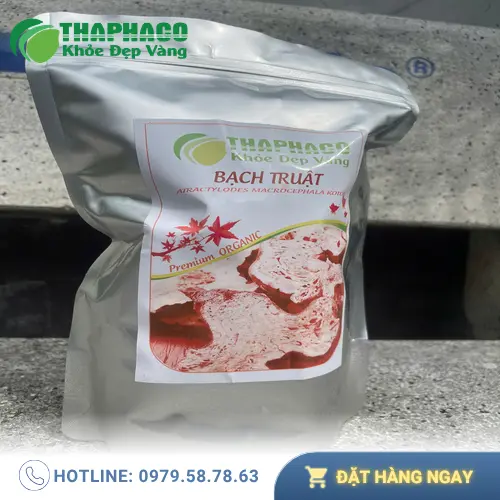 Sự khác biệt giữa bạch truật tươi và bạch truật khô