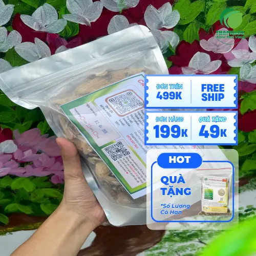 Rượu bạch truật - một cách dùng bạch truật sấy khô