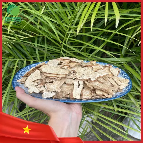 Bạch truật sấy khô chất lượng cao từ THAPHACO