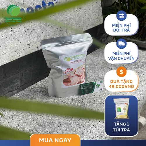 Quy trình chế biến và bảo quản bạch truật sạch, xanh, an toàn