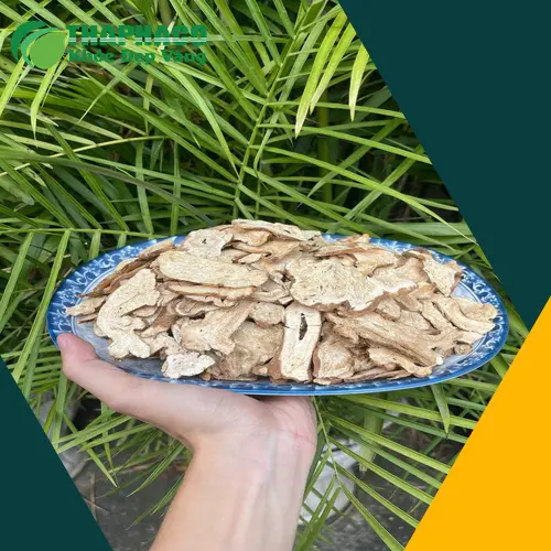 Bạch truật sấy khô của THAPHACO đảm bảo chất lượng