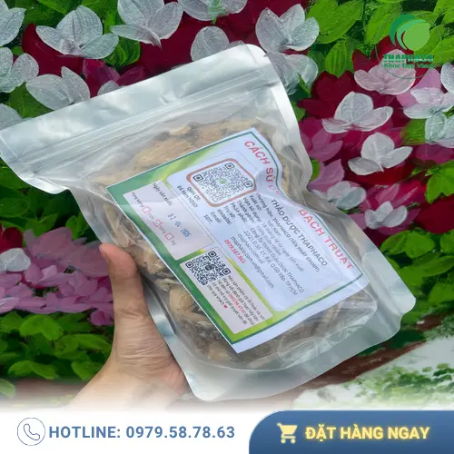 Bạch truật đóng gói tại THAPHACO