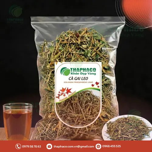 Cà gai leo sấy khô THAPHACO chất lượng cao tại TP.HCM