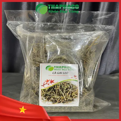 Lợi ích của cà gai leo đối với sức khỏe gan