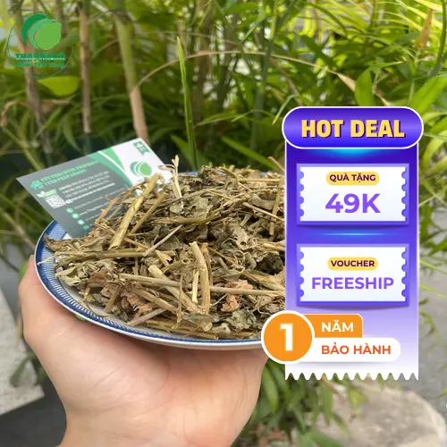 Lá cà gai leo tươi và khô THAPHACO chất lượng cao