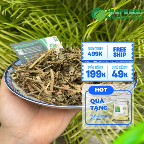 Túi cà gai leo sấy khô 1kg THAPHACO giá tốt