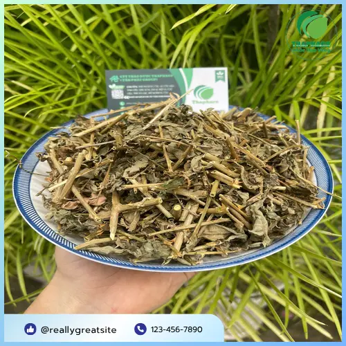 Thành phẩm cà gai leo sấy khô THAPHACO chất lượng được kiểm định