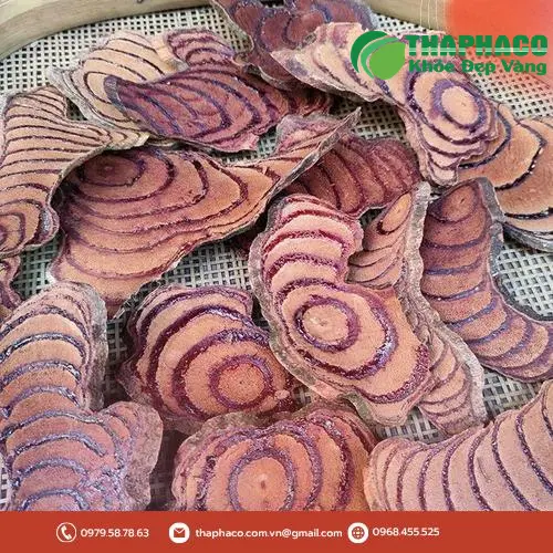 Pha trà Kê Huyết Đằng tươi bổ dưỡng