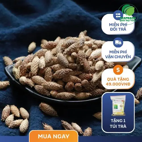 Sơ chế ké đầu ngựa khô Thảo Dược Tươi THAPHACO